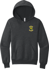 Chester County Youth Sponge Fleece Pullover Hoodie