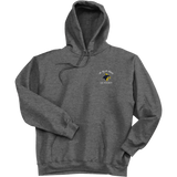 Delaware Jr. Blue Hens Ultimate Cotton - Pullover Hooded Sweatshirt