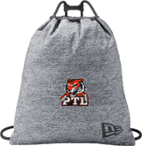 Princeton Tiger Lilies New Era Game Day Cinch